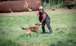 Muğla NAK Arama Kurtarma Köpekleri Macaristan'da sahaya indi