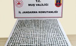 Muş'ta 749 adet tarihi sikke ele geçirildi