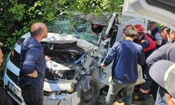 Ordu'da çöp kamyonu ile ticari araç kafa kafaya çarpıştı: 1 yaralı