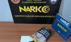 Ordu'da uyuşturucu operasyonlarında 1 tutuklama