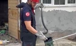 Osmaniye'de evin bahçesinde görülen yılan yakalandı