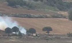 Piknik ateşi çayırlık alanı küle çevirdi