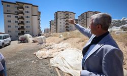Şahinbey'de 3 bin 414 sosyal konut hızla yükseliyor