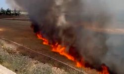 Şanlıurfa'da arpa ekili arazide çıkan yangında 30 dönüm alan zarar gördü