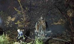Şarampole yuvarlanan otomobil orman yangınına neden oldu