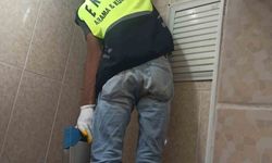 Siirt'te lavabo borusuna sıkışan yavru kedi kurtarıldı