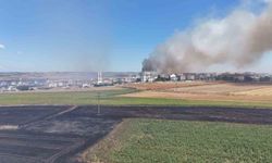 Silivri'de rüzgarla büyüyen yangında alevleri kontrol altına alma çalışmaları devam ediyor