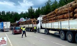 Sinop'ta orman emvali nakilleri denetimi