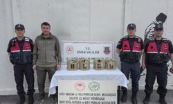 Sivas'ta usulsüz ele geçirilen 4 keklik doğaya salındı
