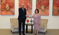 TBMM Başkanı Kurtulmuş, Azerbaycan Milli Meclisi Başkanı Gafarova ile görüştü