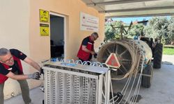 Üzümde kalıntı riskine karşı sıkı denetim