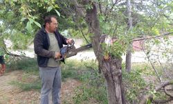 Yarımca Köyü muhtarından örnek davranış