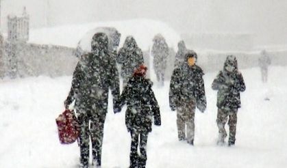 Artvin’in 6 ilçesinde kardan dolayı okullar tatil edildi