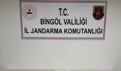 Haklarında arama kararı bulunan 2 kişi jandarma tarafından yakalandı