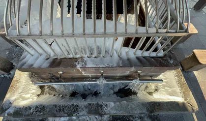 Tekman Dondu: Hava sıcaklığı eksi 33.1 dereceyi gördü
