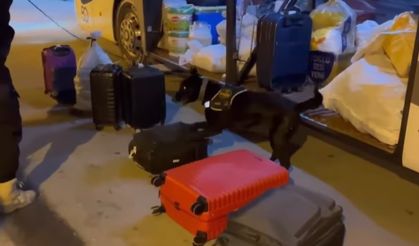 Zehir tacirleri, narkotik köpeğine takıldı