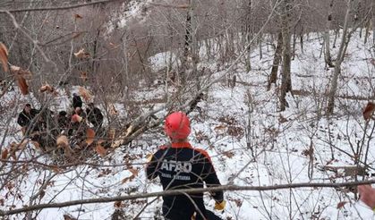 Osmaniye'de otomobil uçuruma yuvarlandı: 1 ölü, 2 yaralı