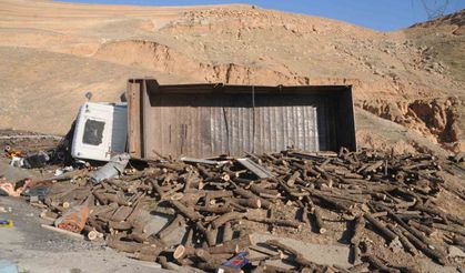 Odun yüklü kamyon şarampole devrildi