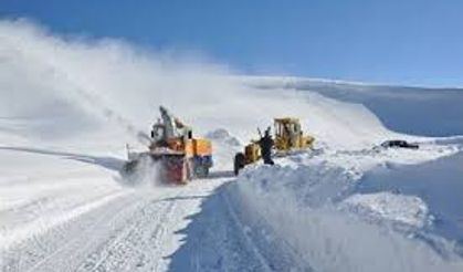 Van'da kardan kapanan yollar tekrar ulaşıma açıldı