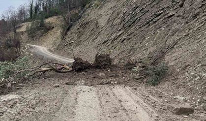 Sinop'ta toprak kayması meydana geldi