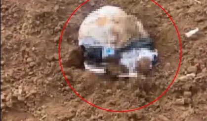 Poşet içinde bir bebeğin cansız bedeni bulundu