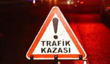 Ağaca çarparak devrilen araçta 5 yaralı