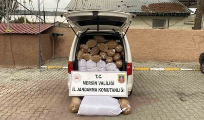Jandarma ekiplerinin düzenlediği operasyonda 3 kişiye gözaltı