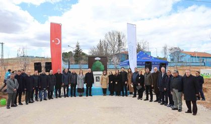 330 bin metrekare alan ağaçlandırıldı