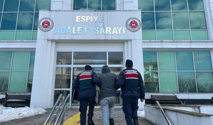 Giresun’da aranan kişilere ilişkin çalışma
