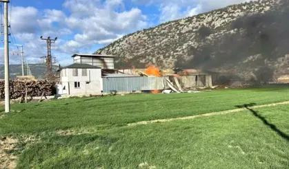 Bucak'ta kereste fabrikasında yangın çıktı!