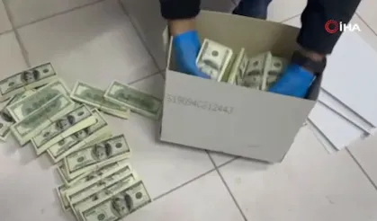 Mersin’de sahte dolar operasyonu: 7 milyon 99 bin dolarlık şebeke çökertildi