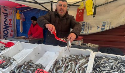 Mezgit 100 liradan tezgaha çıktı