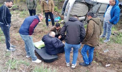 Çatalca’da bir araç ağaca saplandı