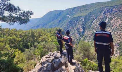 Muğla’da ormanlara giriş yasağı