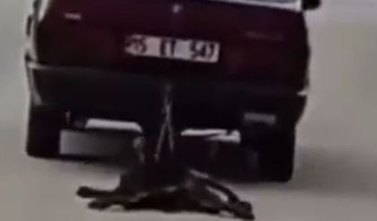 Burdur’da köpeği araçla sürükleyen şahıs tutuklandı