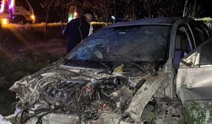 Söğütlü'de tarlaya uçan otomobilde 4 kişi yaralandı