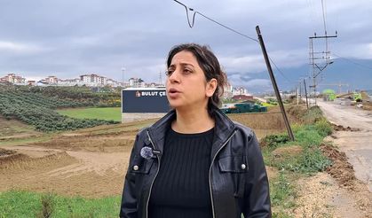 Zeytinliklerin kamulaştırılmasına tepkiler sürüyor