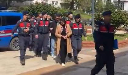 Belgesiz civciv satışı yapanlar gözaltına alındı