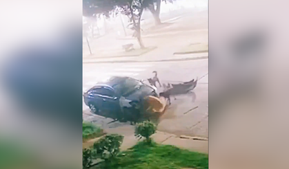 Sokak köpeklerinin bir aracı parçalama anları kamerada!