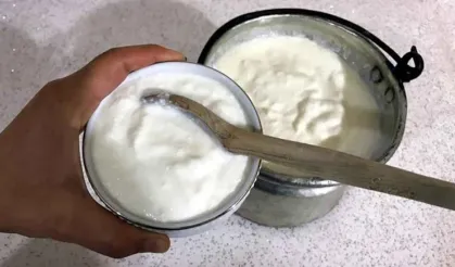 Yoğurda eklenen bal, besin değerini iki katına çıkarıyor