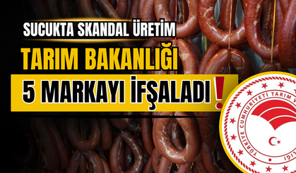Sucukta skandal: 5 marka hileli üretimle ifşa oldu!