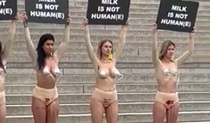 Almanya'da süt karşıtı aktivistlerden protesto eylemi