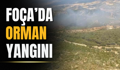 Foça'da çıkan yangına havadan ve karadan müdahale devam ediyor