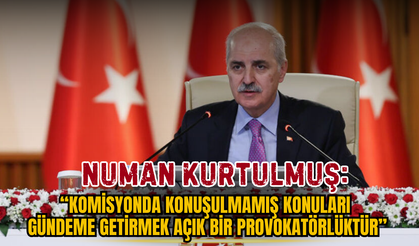 Cumartesi ve Barış Anneleri Komisyona Seslendi