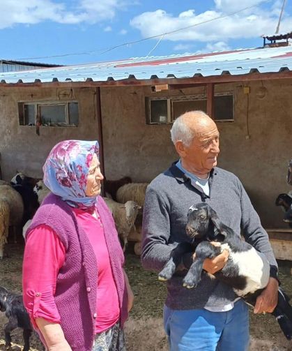 Gürer: Küçük aile tipi işletmelerde hayvancılık S.O.S veriyor