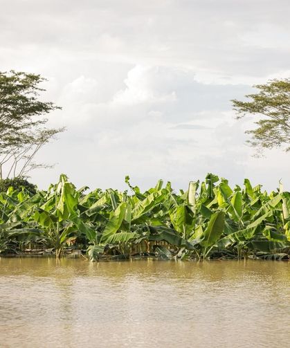 Kolombiya'da ülke genelindeki sellerde 6 kişi hayatını kaybetti