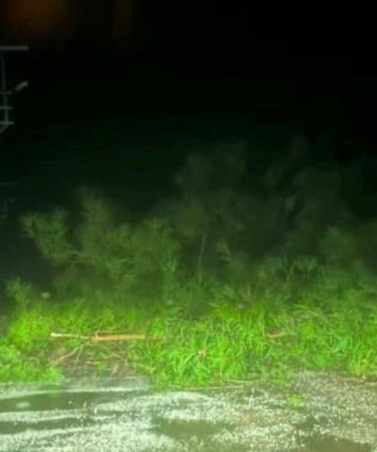 Marmaris'te sağanak etkili oldu, su baskınları oluştu