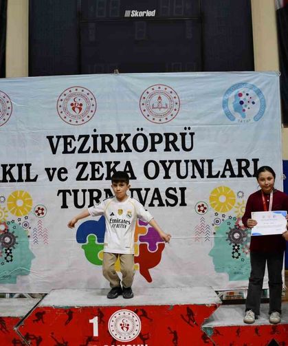 Akıl ve Zekâ Oyunları Turnuvası