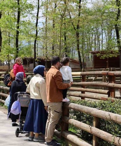 Doğaseverlerin uğrak noktası Ormanya bahara 'merhaba' dedi