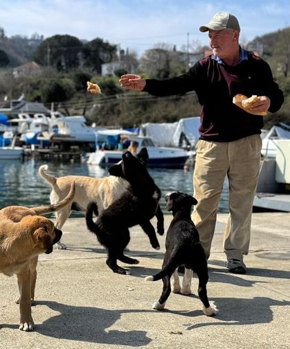 Olta tutkunu vatandaştan sokak köpeklerine şefkat